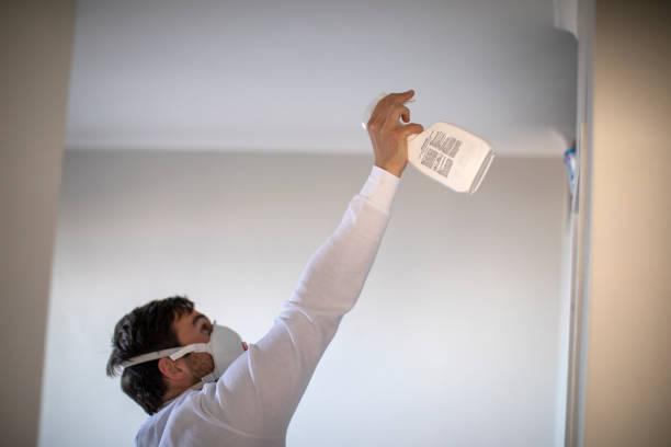 Best Local Mold Removal Service  in Perryman, MD