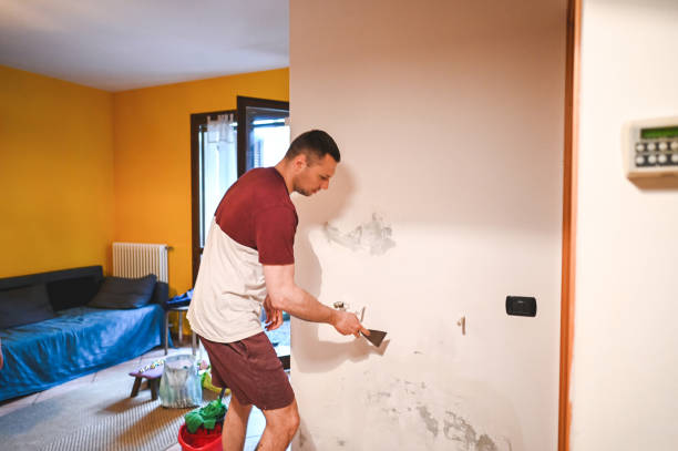 Best Best Mold Removal Companies  in Perryman, MD